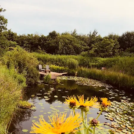 Kornblume - Familientraum Mit Außenspielanlage In Der Landidylle Kramer * Utarp